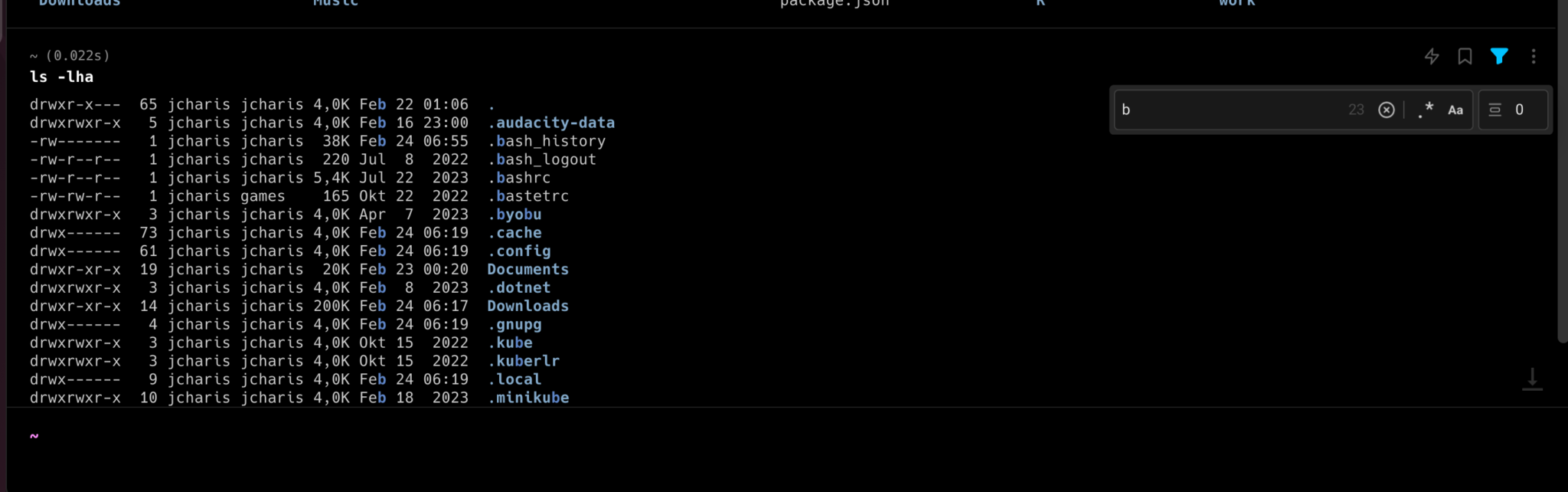 How to Use Warp Terminal on Linux – JCharisTech