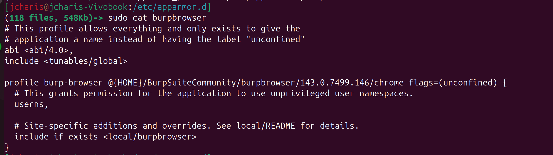 How to Fix BurpSuite Browser Not Opening on Ubuntu – JCharisTech